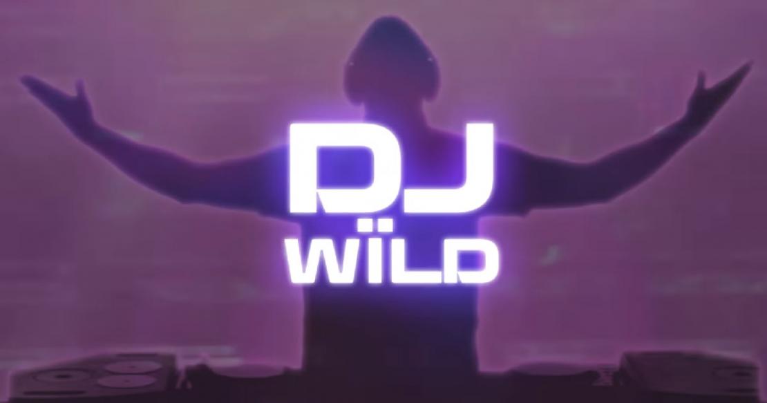 DJ Wild slot from ELK Studios