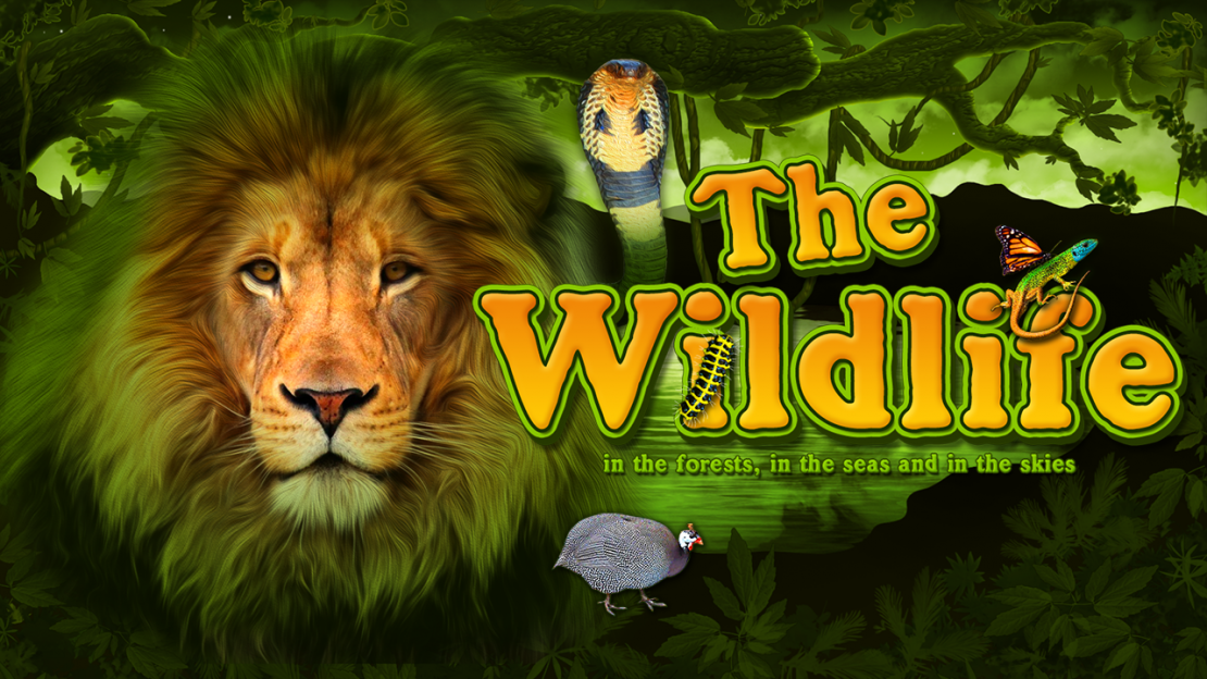 The Wildlife slot from Belatra Games